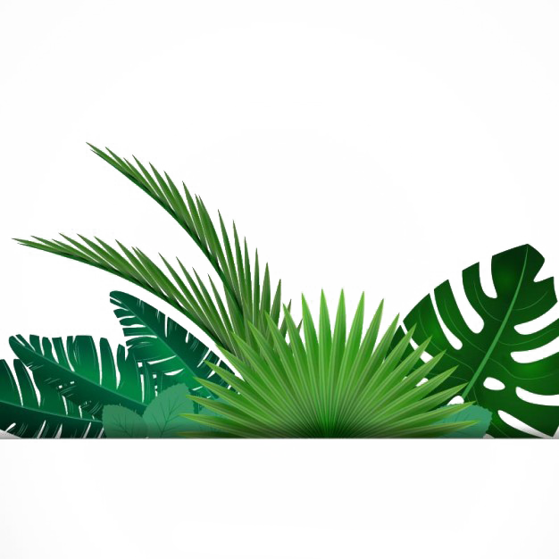 Tropical Leaves Border Frame Illustration