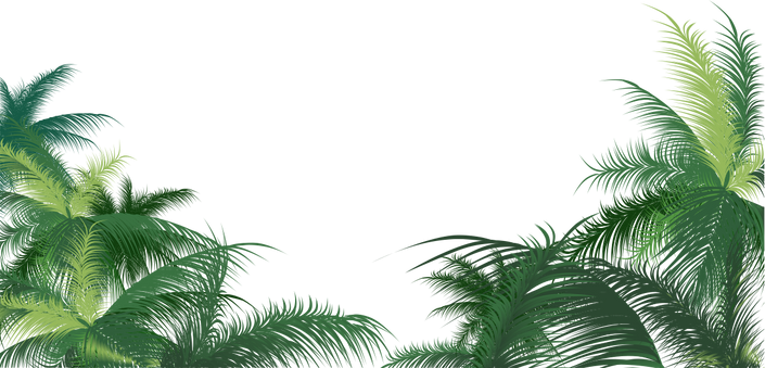 Palm Trees Background